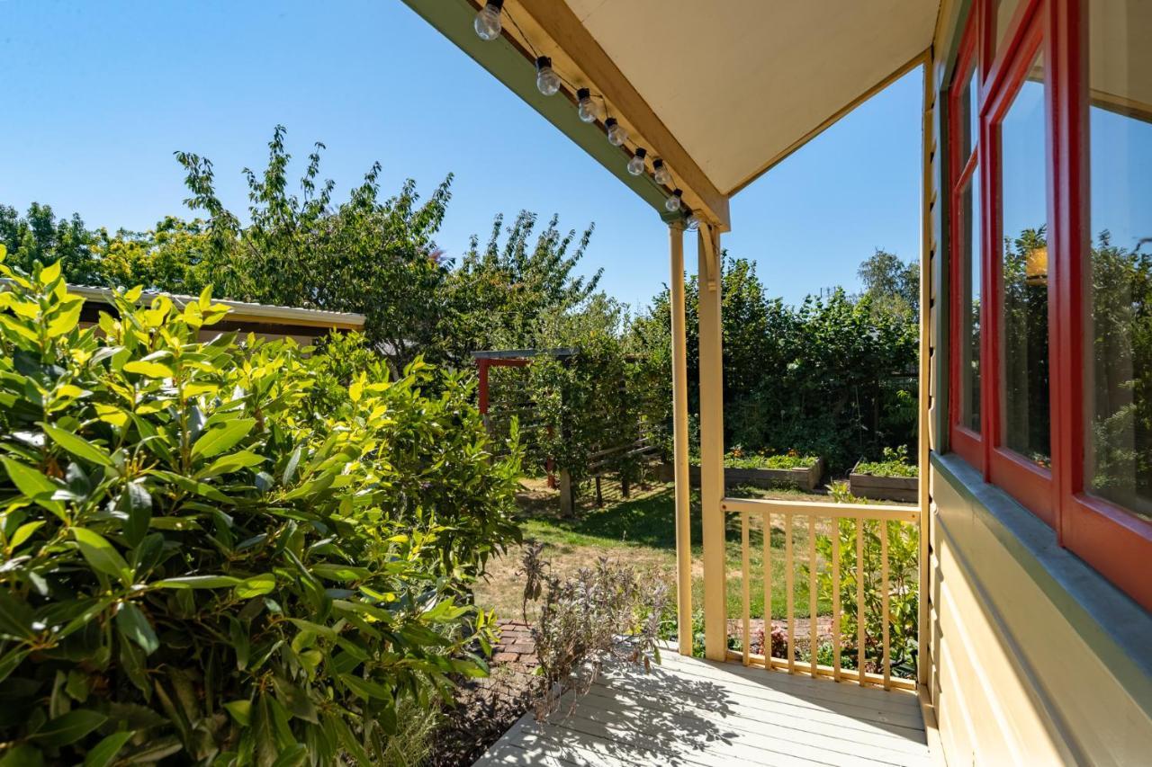 Shy Cottage And Studio Greytown Εξωτερικό φωτογραφία