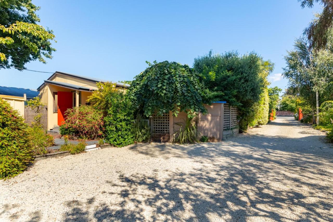 Shy Cottage And Studio Greytown Εξωτερικό φωτογραφία