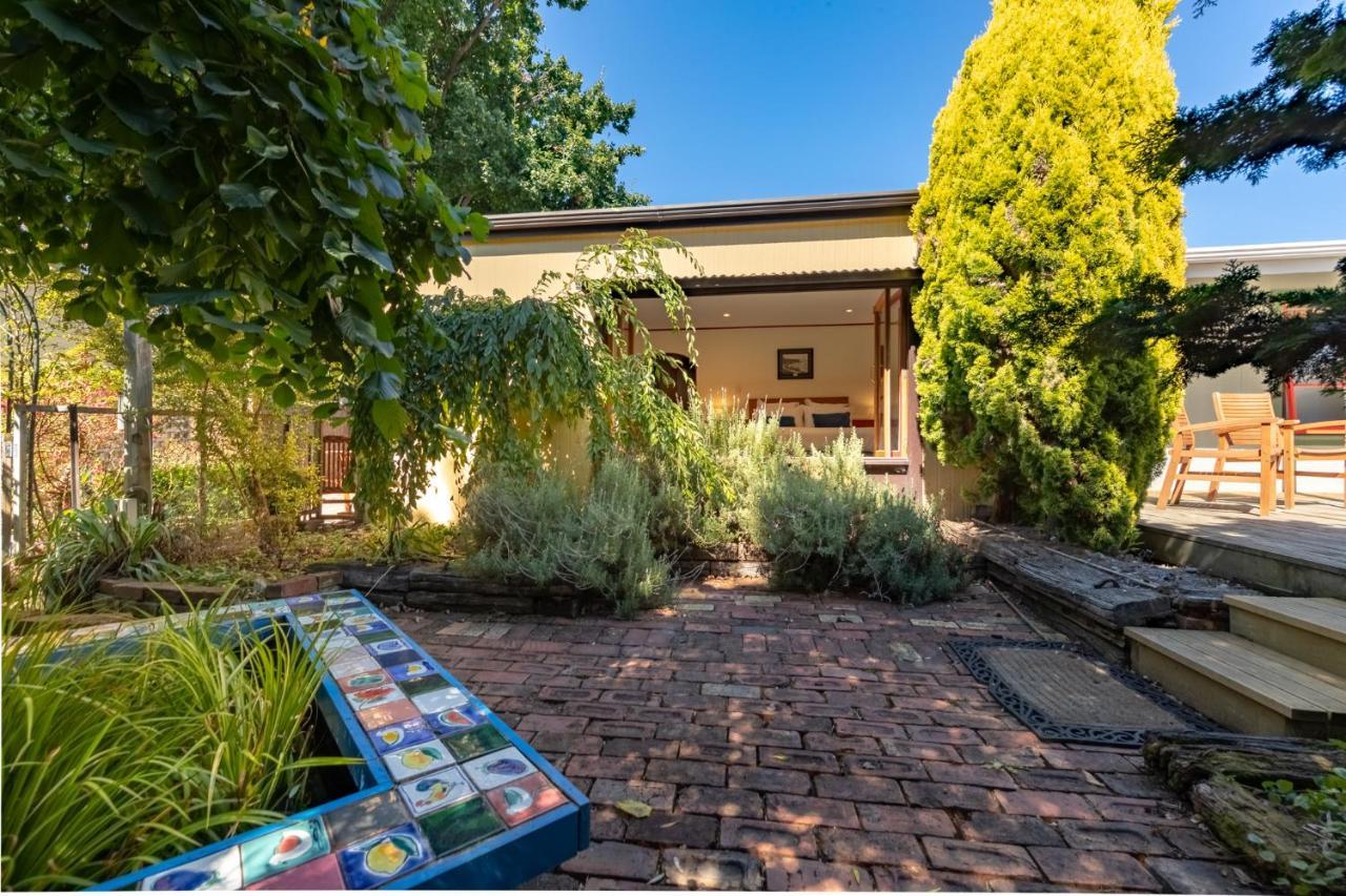 Shy Cottage And Studio Greytown Εξωτερικό φωτογραφία