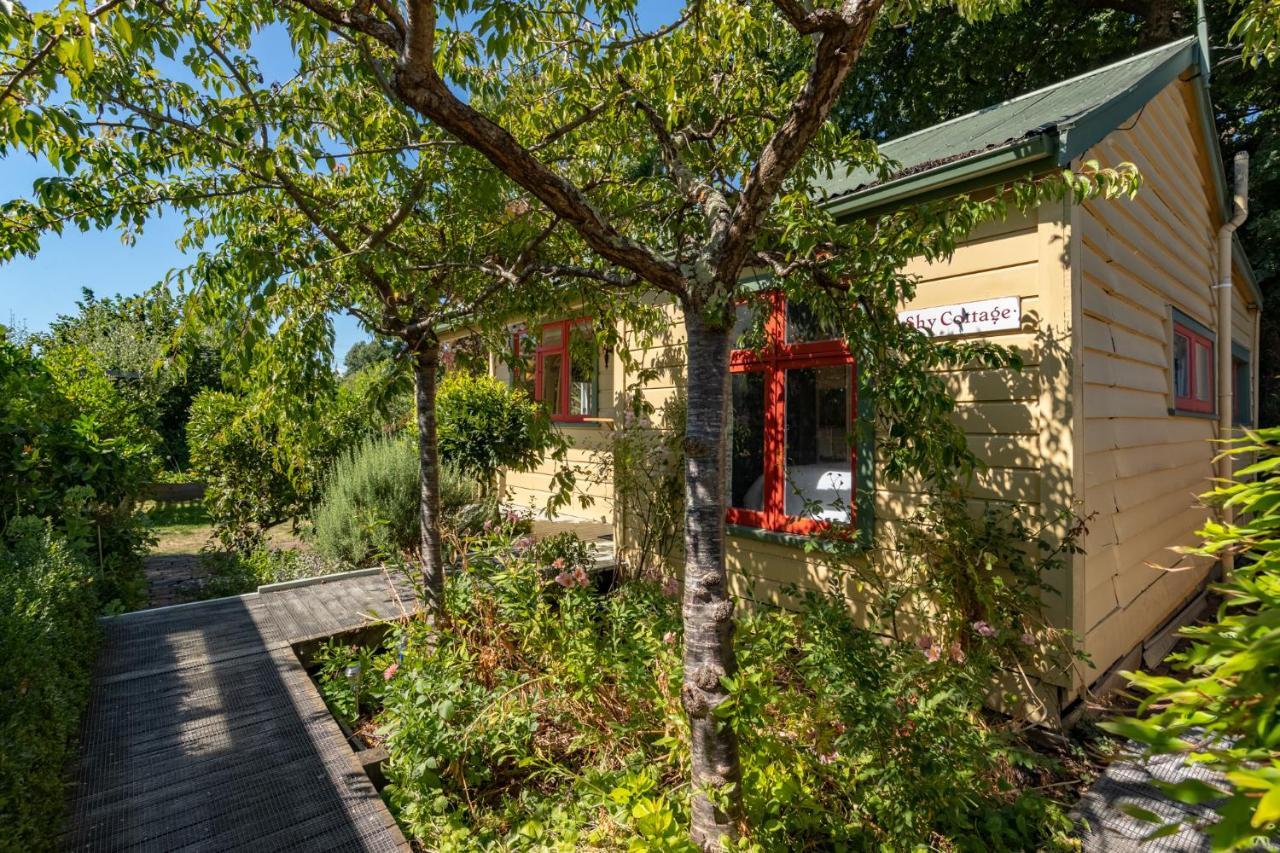 Shy Cottage And Studio Greytown Εξωτερικό φωτογραφία