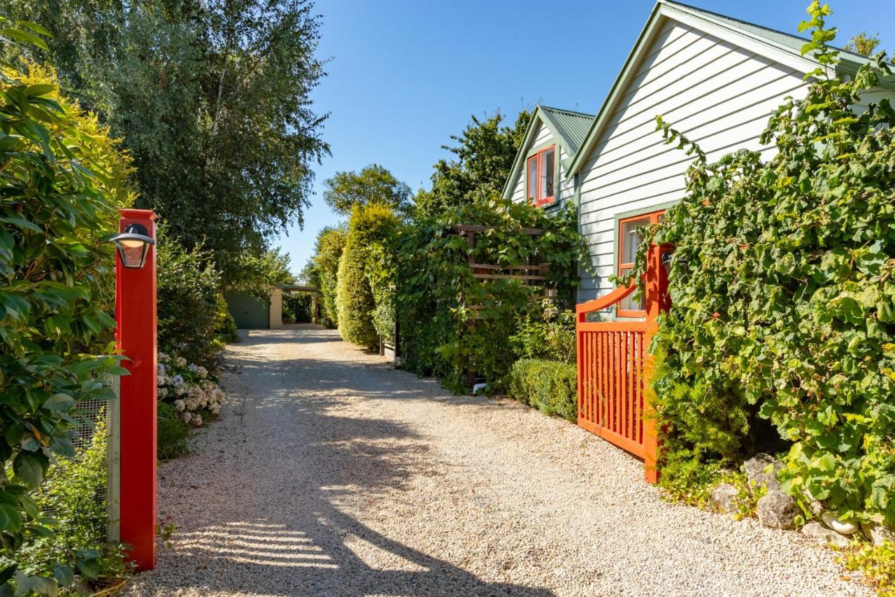 Shy Cottage And Studio Greytown Εξωτερικό φωτογραφία