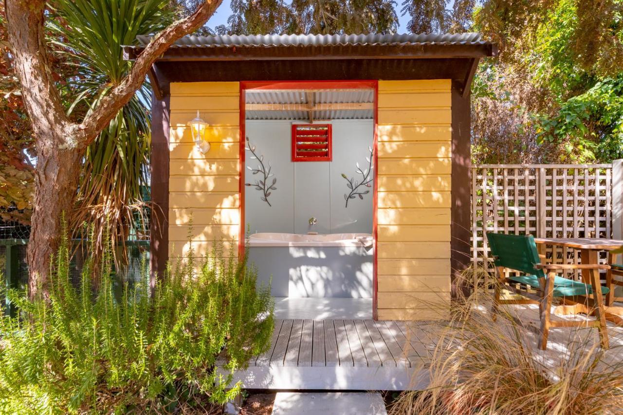 Shy Cottage And Studio Greytown Εξωτερικό φωτογραφία