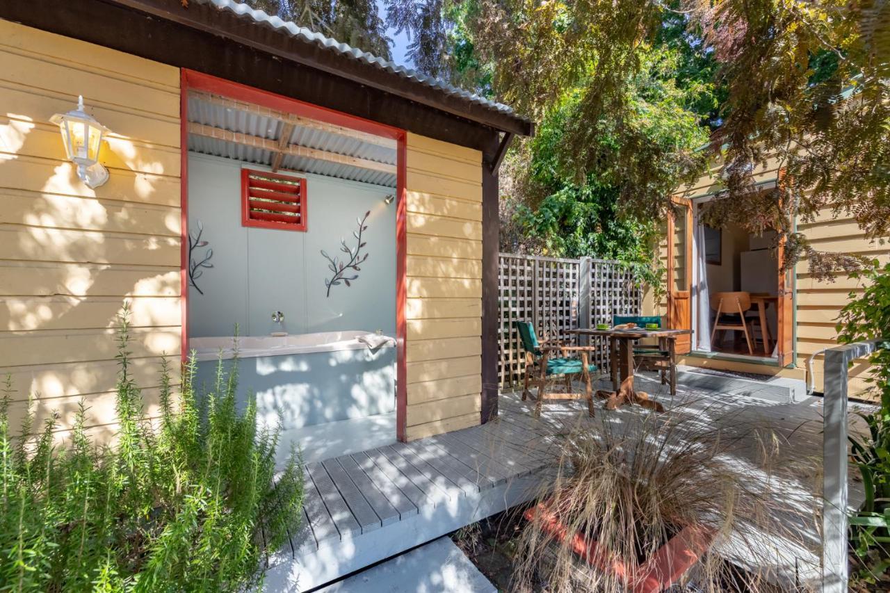Shy Cottage And Studio Greytown Εξωτερικό φωτογραφία
