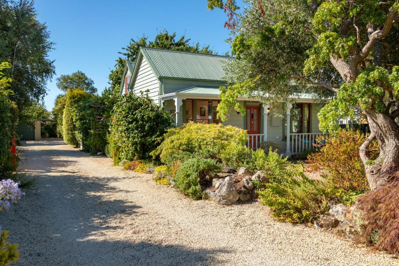 Shy Cottage And Studio Greytown Εξωτερικό φωτογραφία