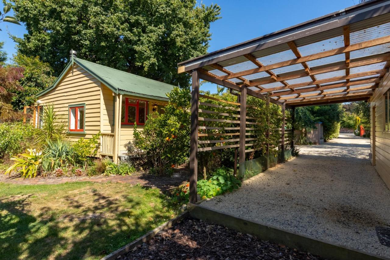 Shy Cottage And Studio Greytown Εξωτερικό φωτογραφία