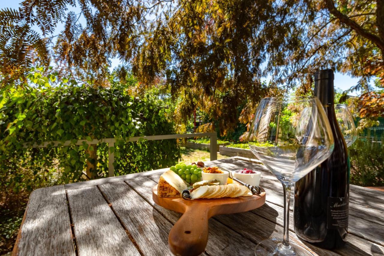 Shy Cottage And Studio Greytown Εξωτερικό φωτογραφία