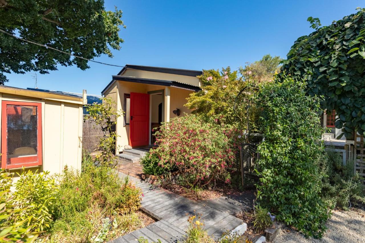 Shy Cottage And Studio Greytown Εξωτερικό φωτογραφία